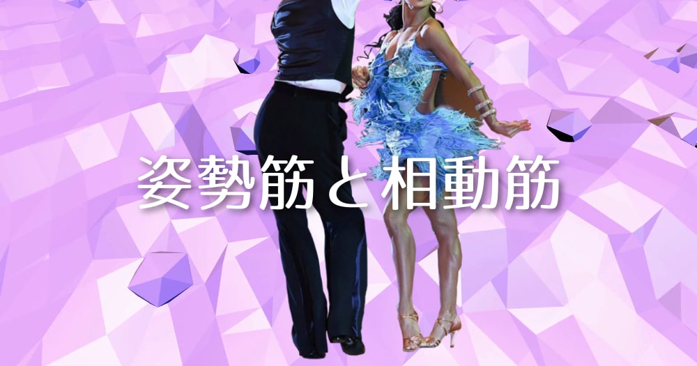 姿勢筋と相動筋