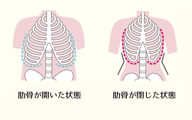 肋骨の状態