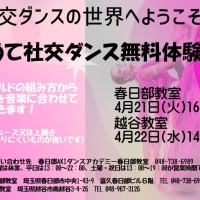 趣味|ダンス|三郷市|社交ダンス