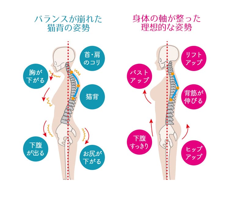 理想的な姿勢